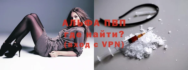 дмт Белокуриха