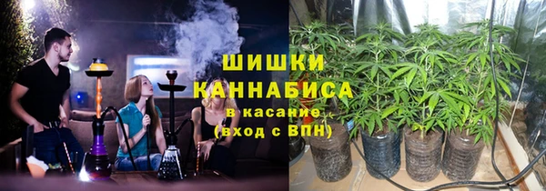 spice Богородицк
