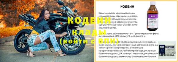 spice Богородицк