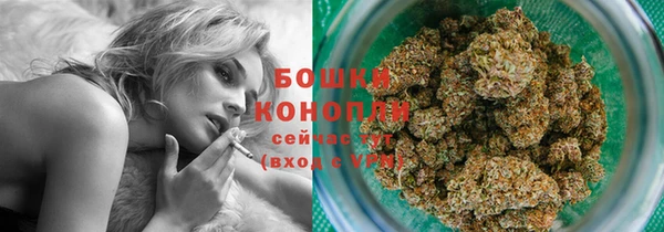 молекула духа Богородск
