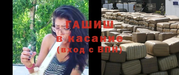 spice Богородицк
